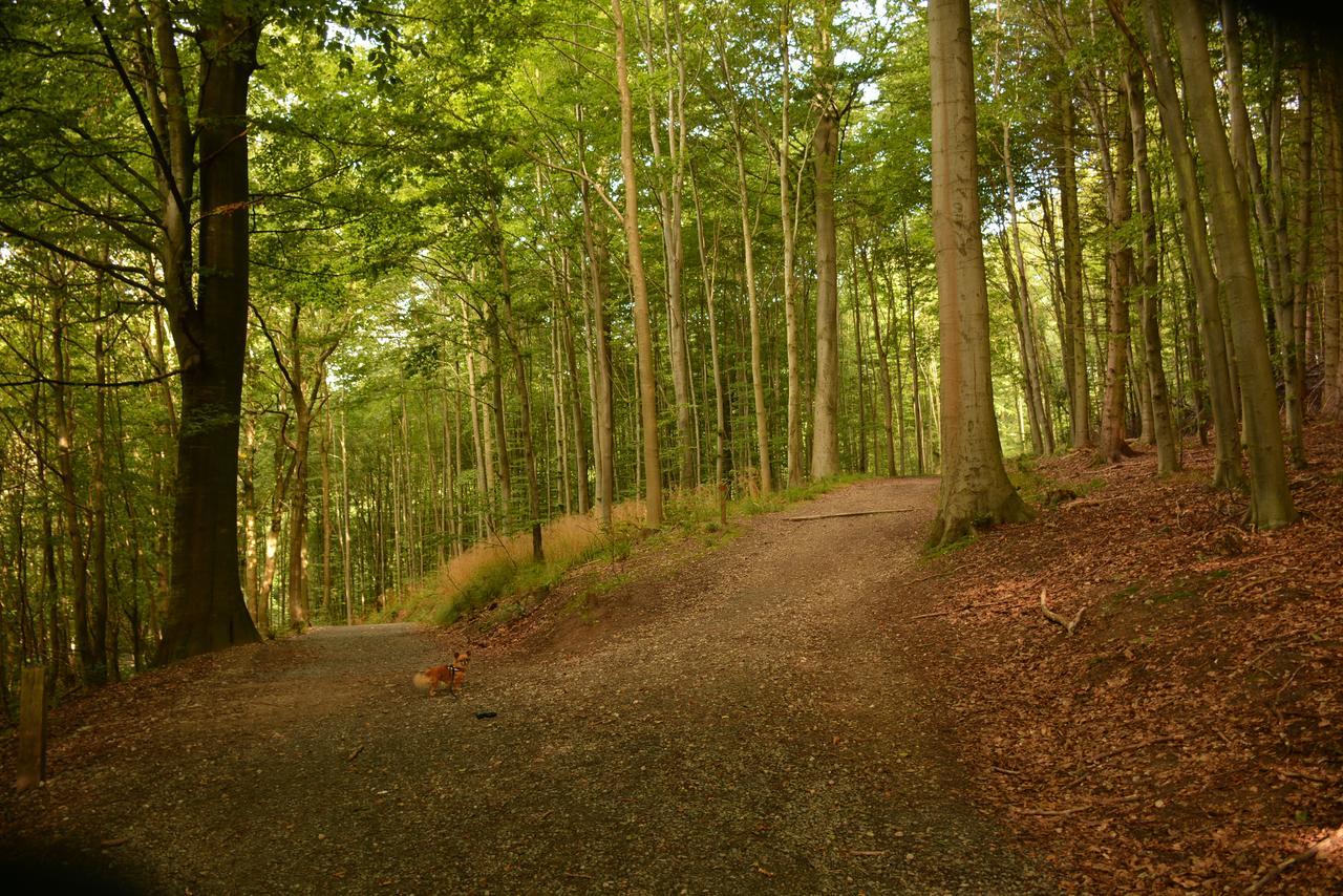 Vejle City Camping Eksteriør bilde
